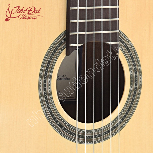 Đàn Guitar Classic Cordoba C1M Full Size 18
