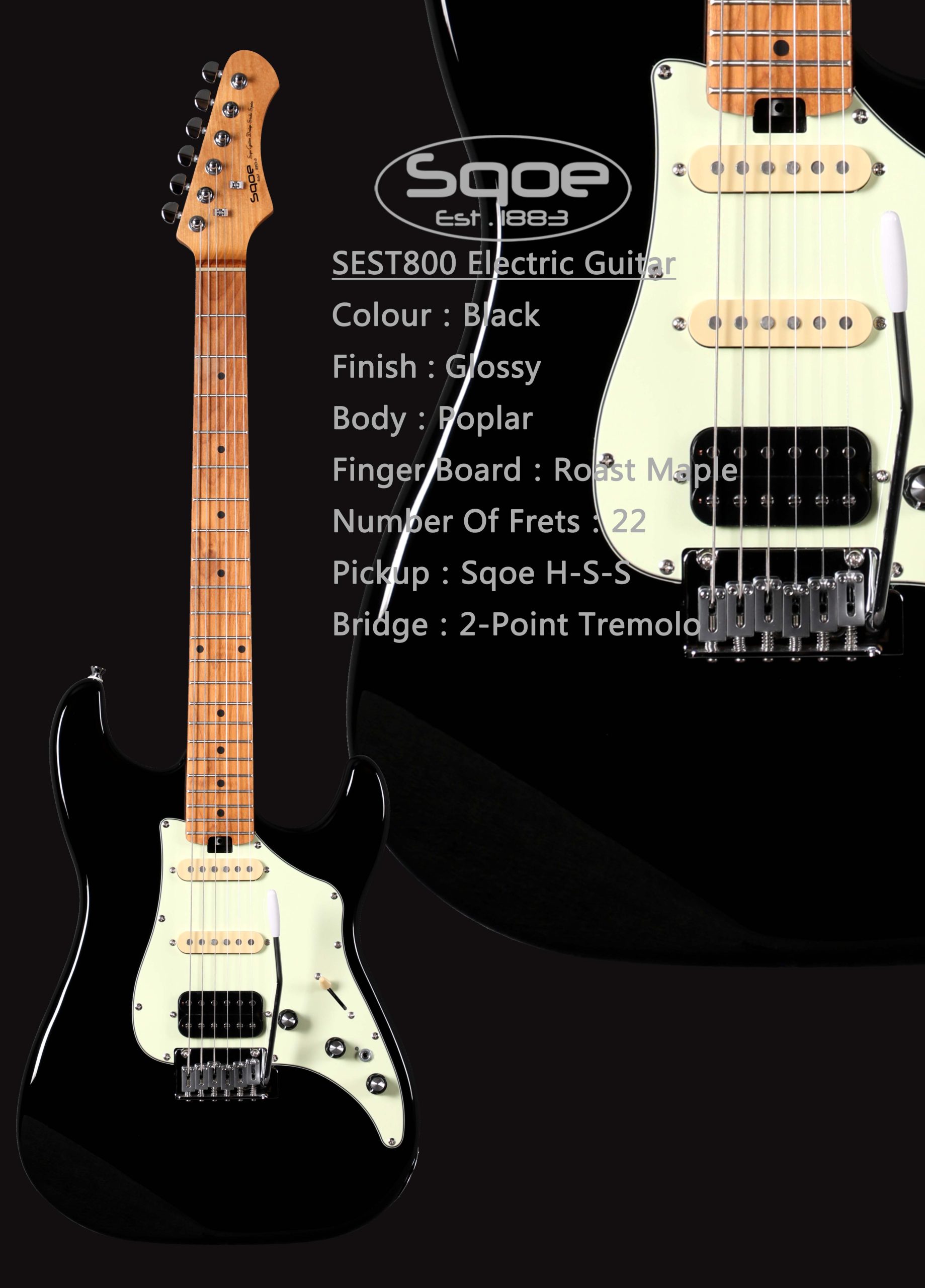 Đàn guitar điện SQOE SEST800 23