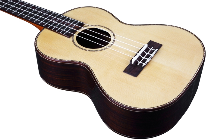 dan ukulele dc800 1