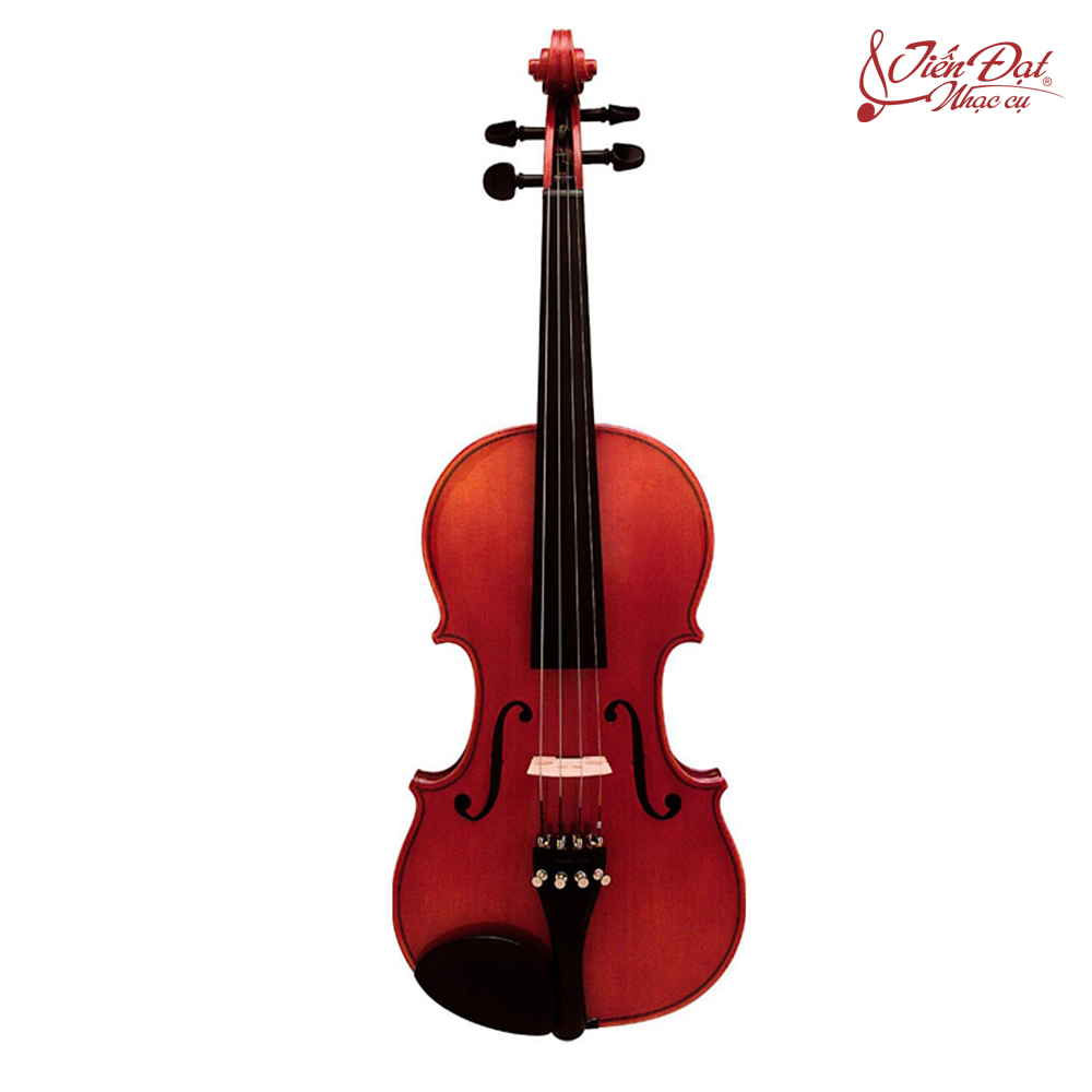 dan-violin-suzuki-220fe4-size-3-4