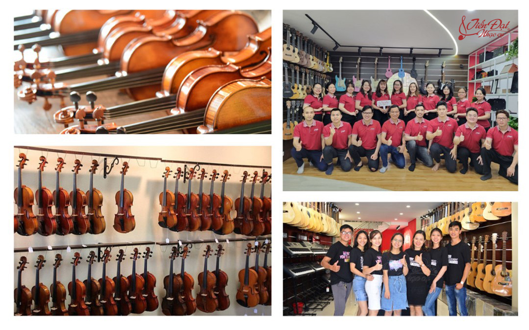 violin