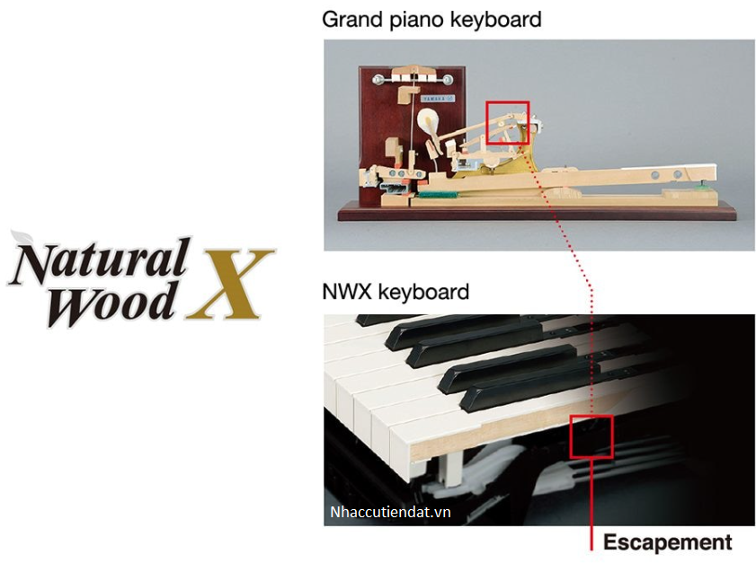 piano-yamaha-1-1 am-thanh-piano-yamaha